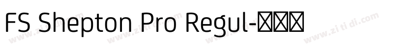 FS Shepton Pro Regul字体转换